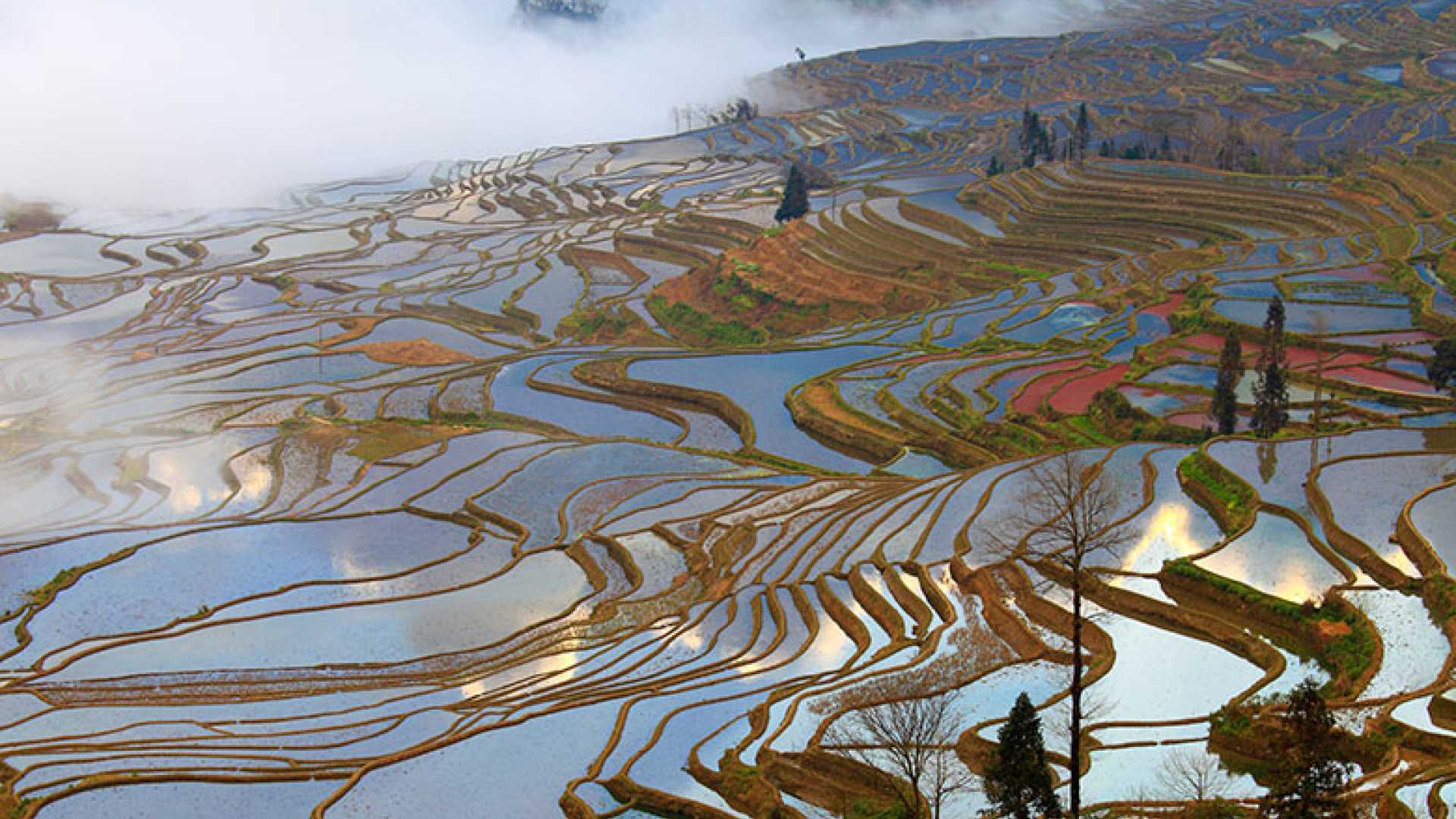 10 mesmerising pictures of ancient rice paddies | Escapism