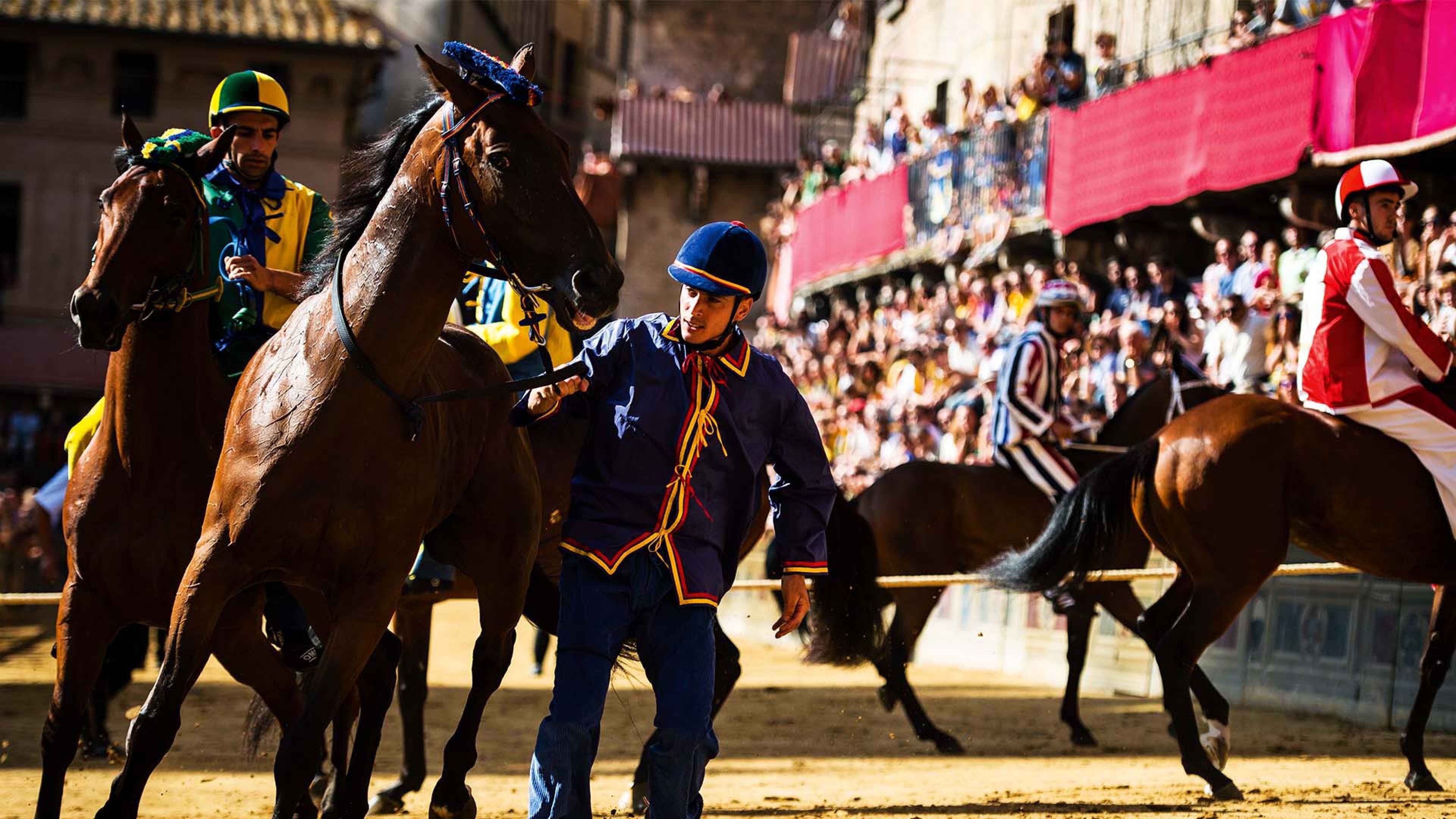 Siena's Il Palio horse race what you need to know Escapism