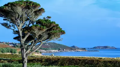 dl_140929_karma_stmartin_0030