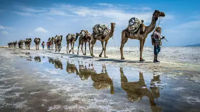130681237444549915_Enrico-Madini_Italy_Shortlisted_Open_Travel_2015