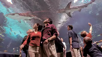 Newport-Aquarium-10_HR