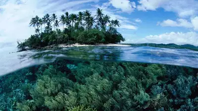 Papua_New_Guinea_Scenery