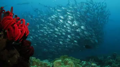 raja-ampat