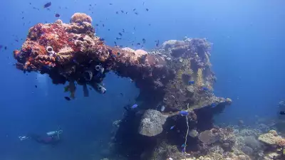 micronesia1