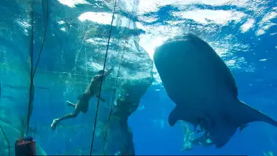 From-the-film---The-Giant-and-the-Fishermen