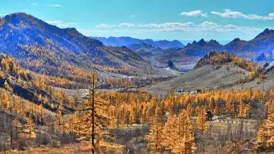 summermongolia
