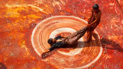 2013-Cultures-BSI-SM1