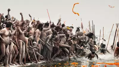 2013-Cultures-BSI-Win