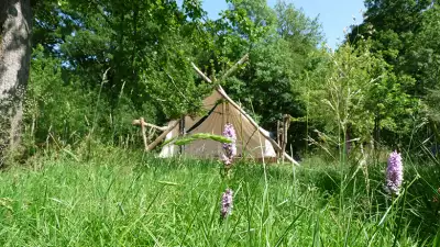 Safari-Glamping