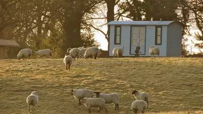 Top-Farm