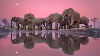 fo-lanting-okavango_gallery_3