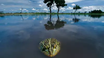 fo-lanting-okavango_gallery_5