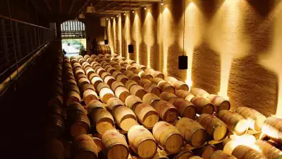 Groot-Constantia-barrels.-Image-credit-Cape-Town-Tourism
