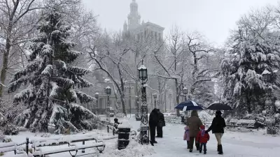 2010.02.10BlizzardBug16
