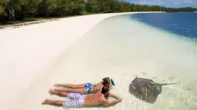 Couple_Stingray