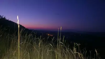 IMAG0604