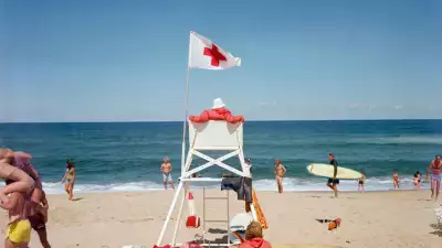 Joel-Meyerowitz