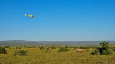 Rhino-and-chopper-(Low-Res)