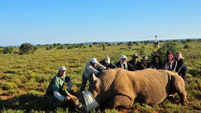 Team-pic-with-rhino-(1-of-1)