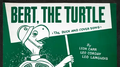 gallery-turtle