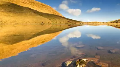 Krzysztof-Ligeza---Ants,-Brecon-Beacons,-Wales,-Living-the-View,-Commended-2010