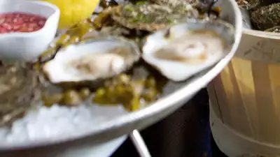 Galway-Native-Oysters