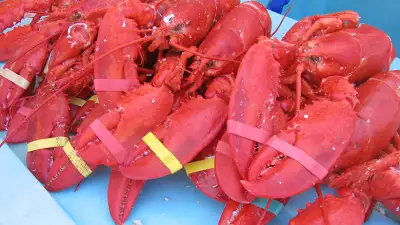 071217_10000_IMG_6399
