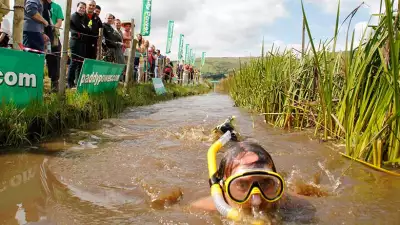 Bog snorkelling Wales
