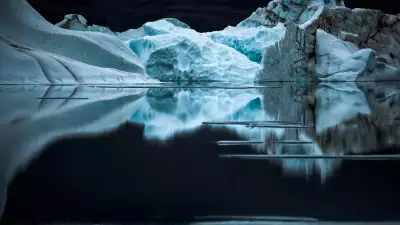 Arctica: The Vanishing North