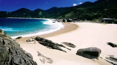 Photograph of tropical beach in Brazil