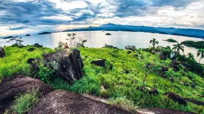 Photograph of Brazilian wilderness; lush countryside