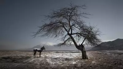 Maoyuan Cui, Yuxian County village, China, Shortlist, Professional, Landscape, 2016 Sony World Photography Awards