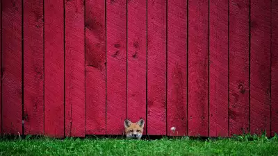Allan Oman, Northern Ontario, Canada,National Award, 2016 Sony World Photography Awards