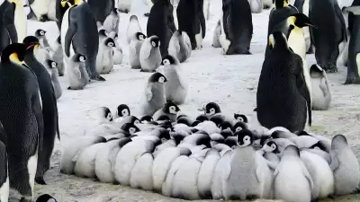White Desert, Antarctica