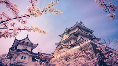 blossoming trees outside a castle in Iga