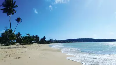 Beach view in Vieques, Puerto Rico
