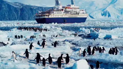 Penguins and an ice-breaker on an Antarctic cruise