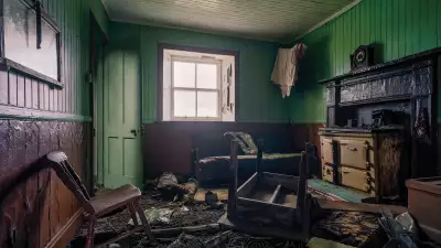 A sheep lies on the floor of an abandoned lounge