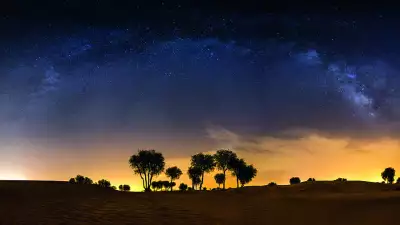 A desert oasis in the UAE