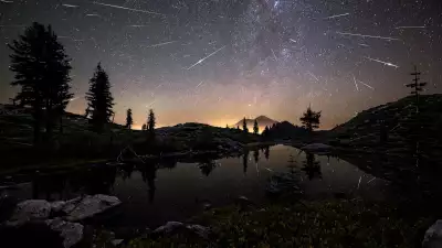 Photo of the Perseid Meteor Shower in the early Californian morning