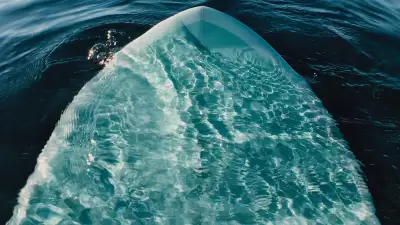 A surfboard submerged in the ocean