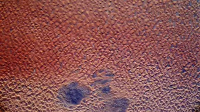 Hello, is this Planet Earth, by Tim Peake
