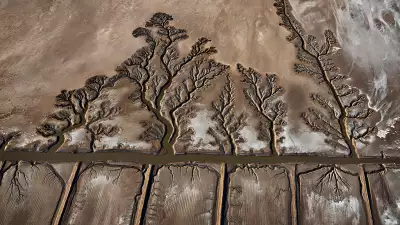 Former shrimping farms in Sonora county, Mexico