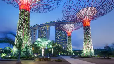 Gardens in the Bay, Singapore
