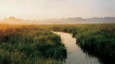 Harry Cory Wright, Journey Through the British Isles. June 2006