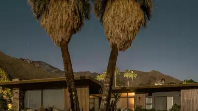 Palms outside Edris House, Palm Springs