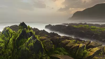 Al-Houta rocky beach, Salalah