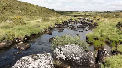 Swimming spot on River Swincombe, Devon