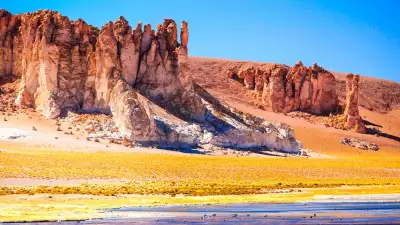 Salarde Tara San Pedrode Atacama