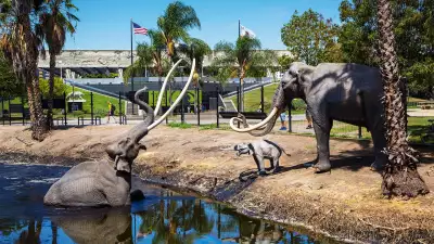 La Brea Tar Pits, Los Angeles